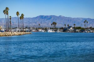 Calm Southern California harbor with palm trees, boats, and mountains in the distance, representing a peaceful setting for medical detox and recovery at North Star Treatment.
